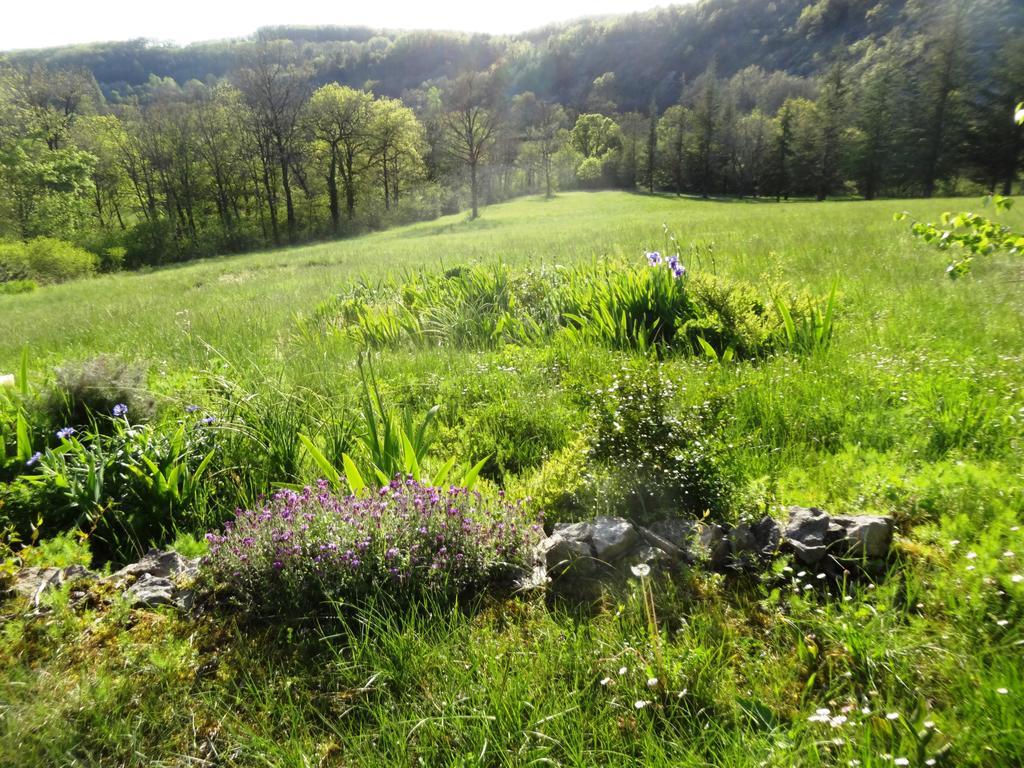 Gites Coeur De Lot Soucirac Exterior foto