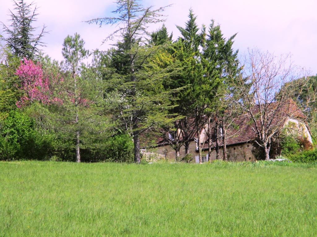 Gites Coeur De Lot Soucirac Exterior foto